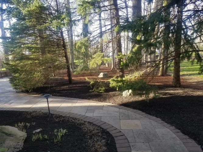 JM Landscape And Tree Services by JM Landscape And Tree Services - Photo 19