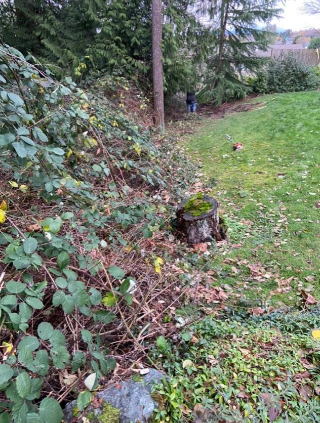 JMR Lawn Services 2 by JMR Lawn Services - Photo 3