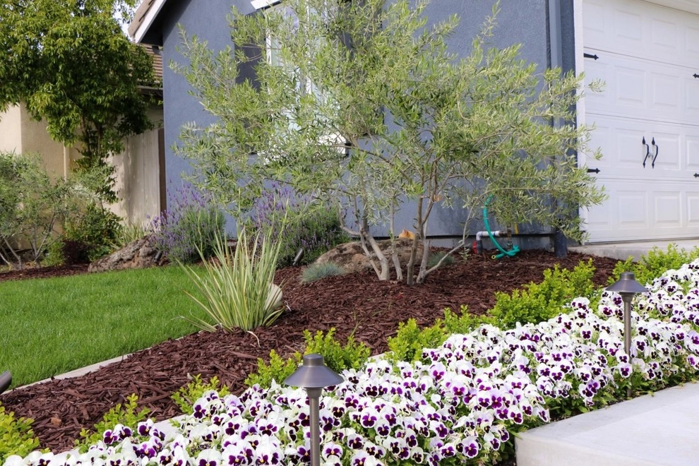 Belo Residence by Joe's Landscaping & Concrete, Inc. - Photo 4