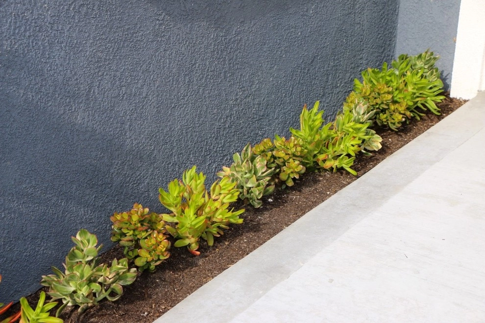 Belo Residence by Joe's Landscaping & Concrete, Inc. - Photo 2