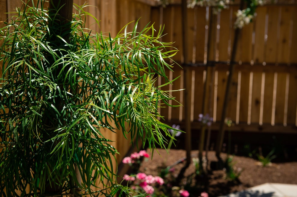 Splender's Backyard by Joe's Landscaping & Concrete, Inc. - Photo 12