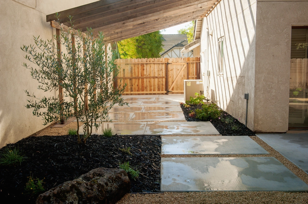 Cooper Modern Backyard by Joe's Landscaping & Concrete, Inc. - Photo 5