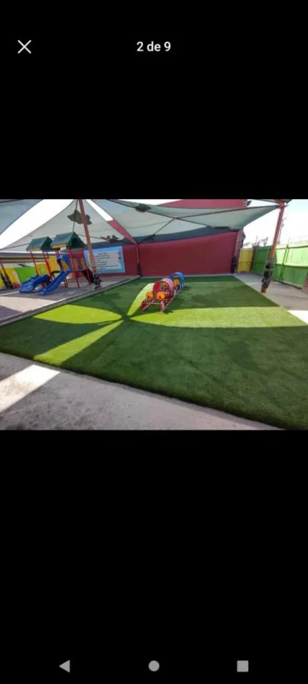Sod Installation by Superior Granite & Marble - Photo 6