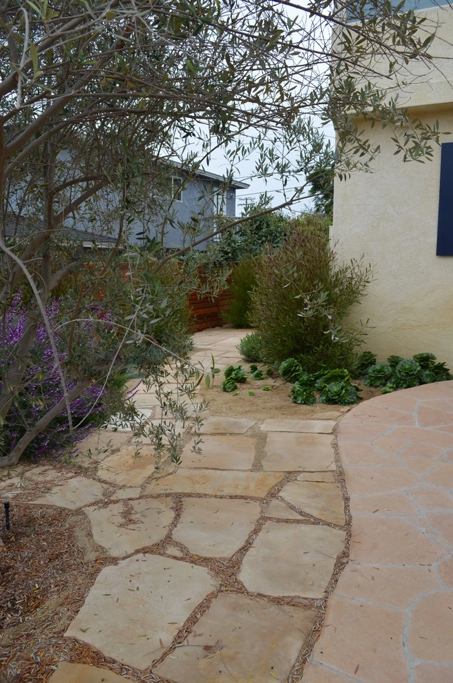Point Loma Spanish by Juniper Landscape Company - Photo 7