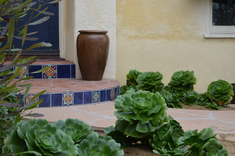 Point Loma Spanish by Juniper Landscape Company - Photo 8