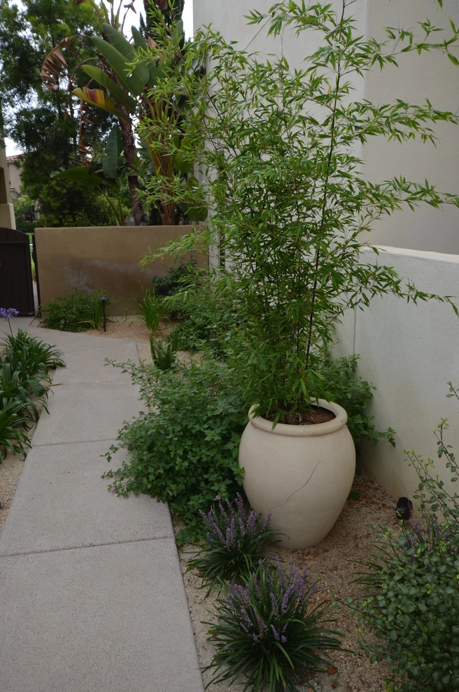 Point Loma by Juniper Landscape Company - Photo 2