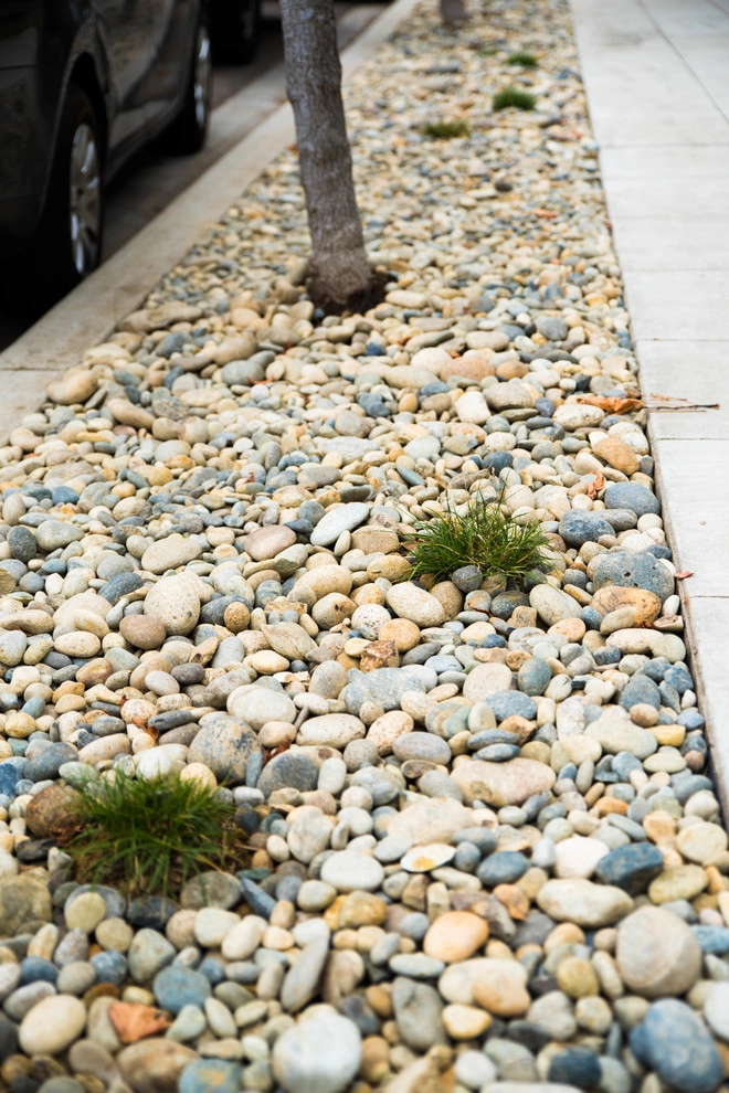 North Park Craftsman by Juniper Landscape Company - Photo 5