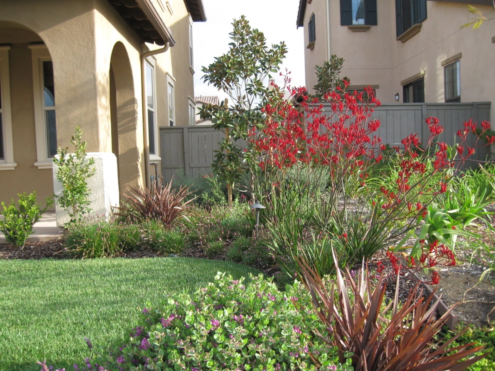 Del Sur Spanish Mediterranean by Juniper Landscape Company - Photo 2