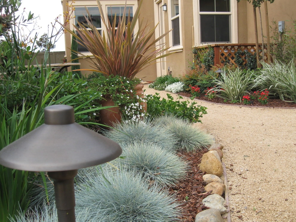 Del Sur Spanish Mediterranean by Juniper Landscape Company - Photo 5