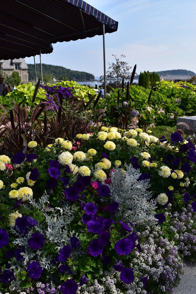 More Landscape Projects by Bruno Design Associates - Photo 3