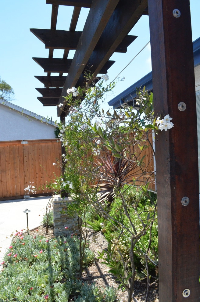 Claremont Modern by Juniper Landscape Company - Photo 5