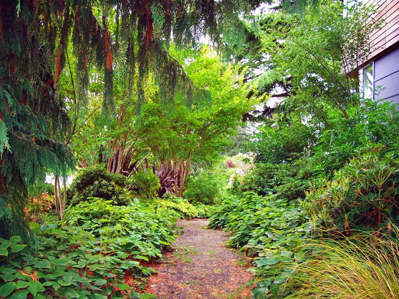 Landscaping Work by Kaleidoscope Landscape Inc - Photo 4