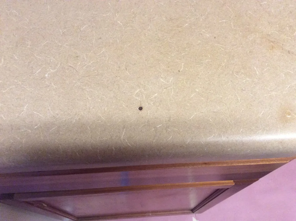 Countertop renovation by ICoat Emerald Coast - Photo 2
