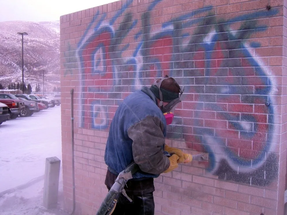 Wall Art Eradication by Steammaster - Photo 2