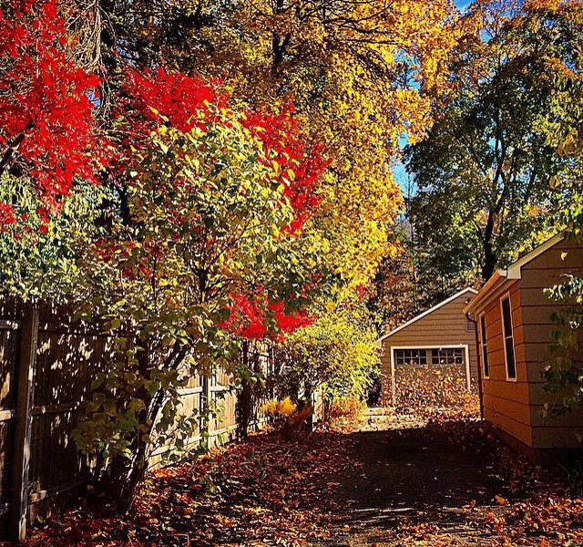 Karr Landscapes by Karr Landscapes LLC - Photo 12