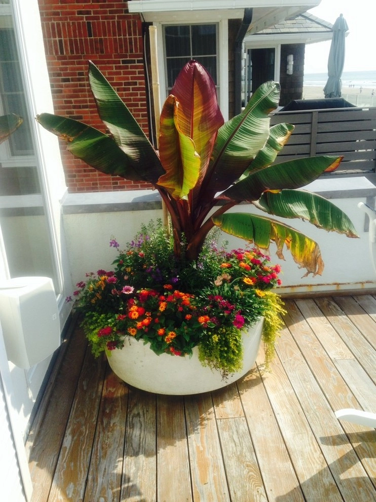 Container Garden Landscape Projects by Kãsa Landscaping & Property Management - Photo 3