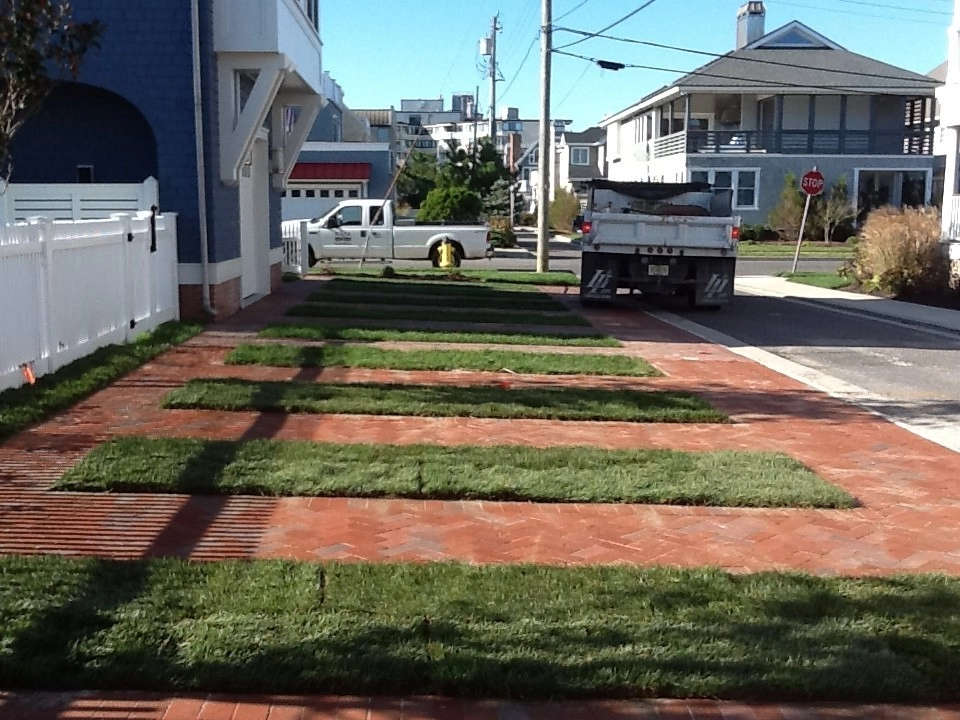 Kãsa Landscaping & Property Management - Photo 4