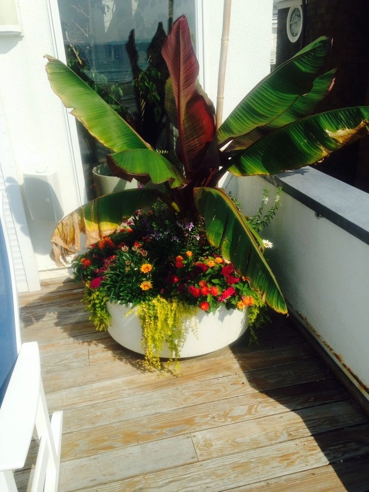 Kãsa Landscaping & Property Management - Photo 6
