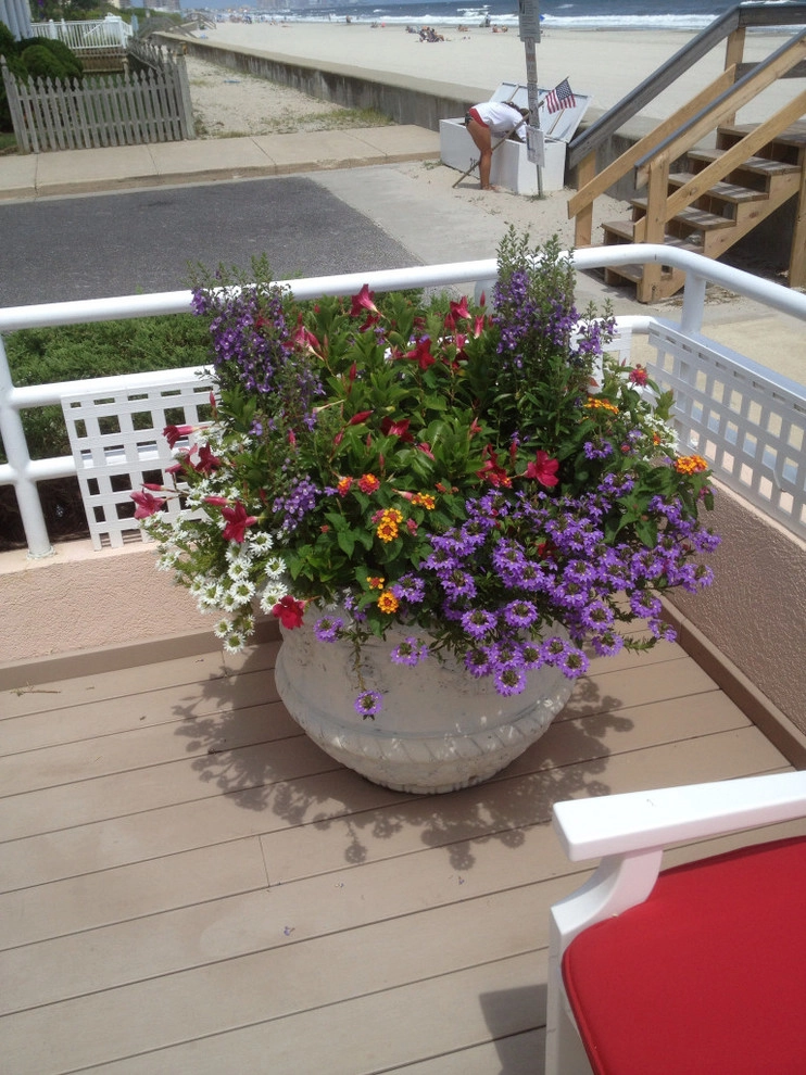 Container Garden Landscape Projects by Kãsa Landscaping & Property Management - Photo 6