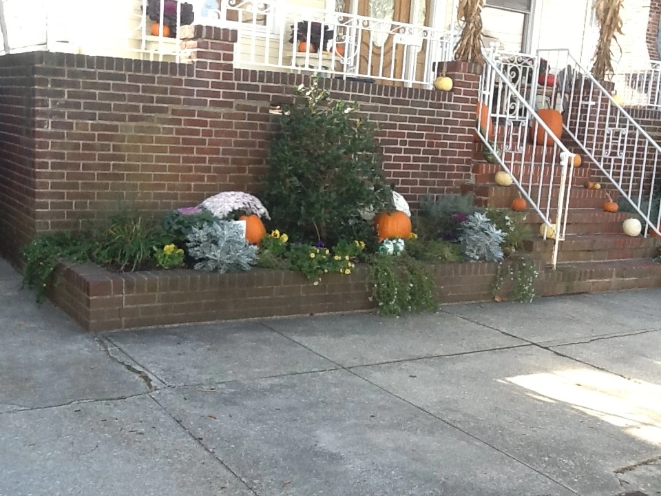 Kãsa Landscaping & Property Management - Photo 9
