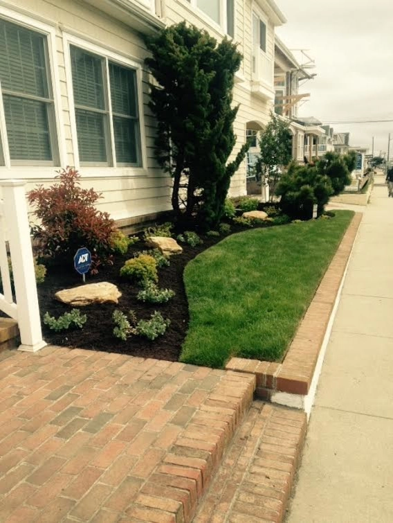 Kãsa Landscaping & Property Management - Photo 3