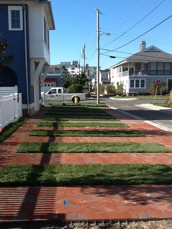 Driveway Pavers by Kãsa Landscaping & Property Management - Photo 2