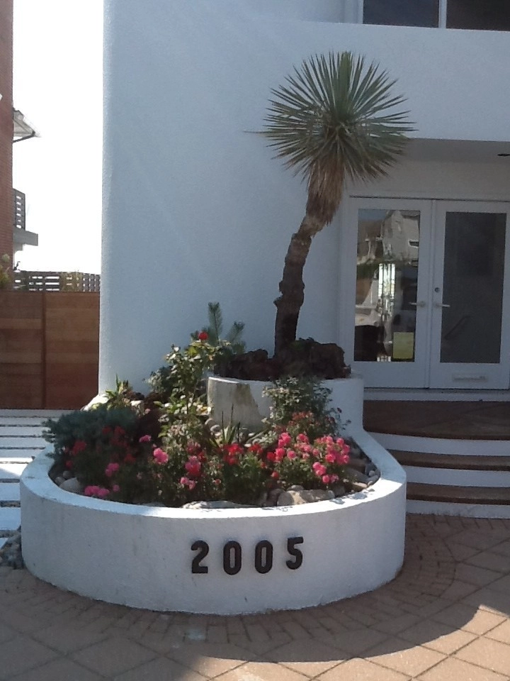 Container Garden Landscape Projects by Kãsa Landscaping & Property Management - Photo 5