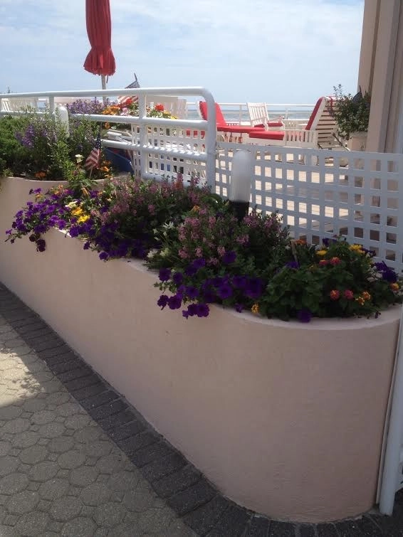 Container Garden Landscape Projects by Kãsa Landscaping & Property Management - Photo 4