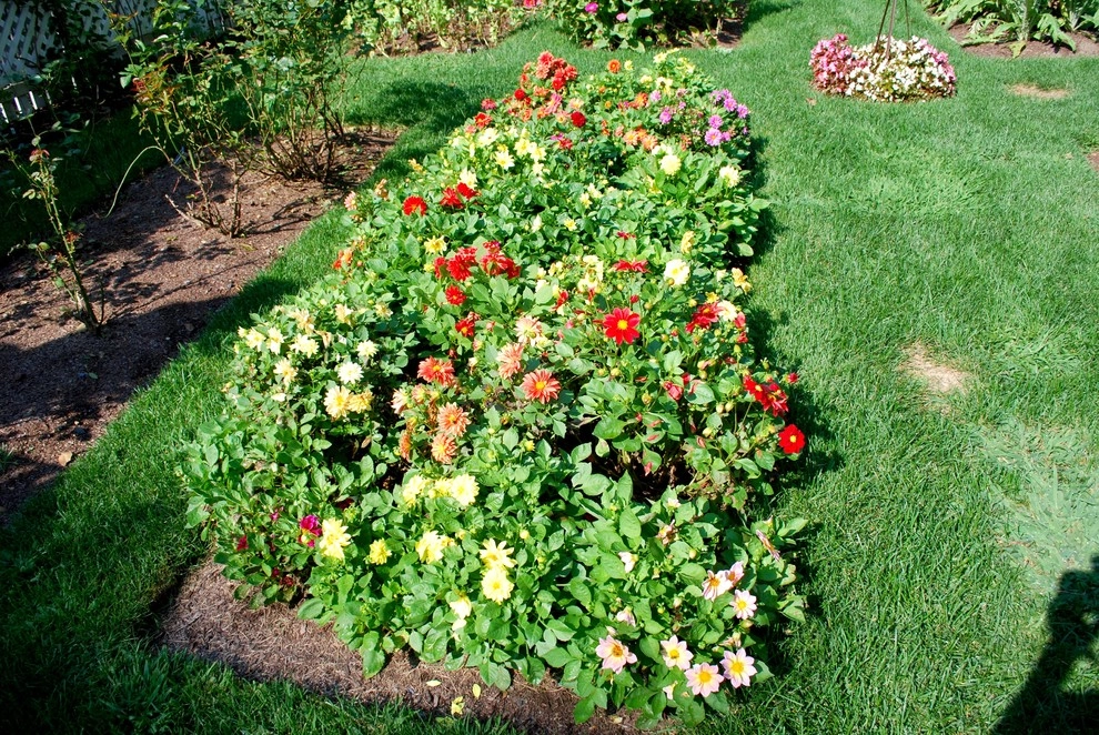 Kevin Catalano Gardening & Design - Photo 2