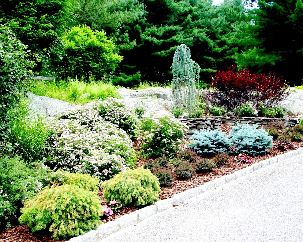Kevin Catalano Gardening & Design - Photo 12