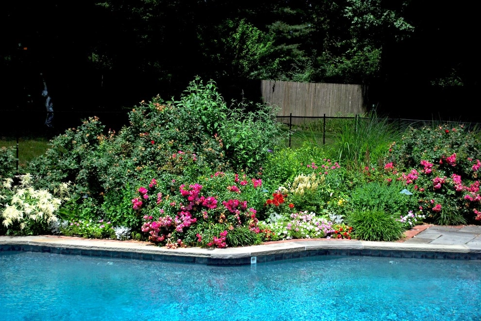 Swimming pool by Kevin Catalano Gardening & Design - Photo 2