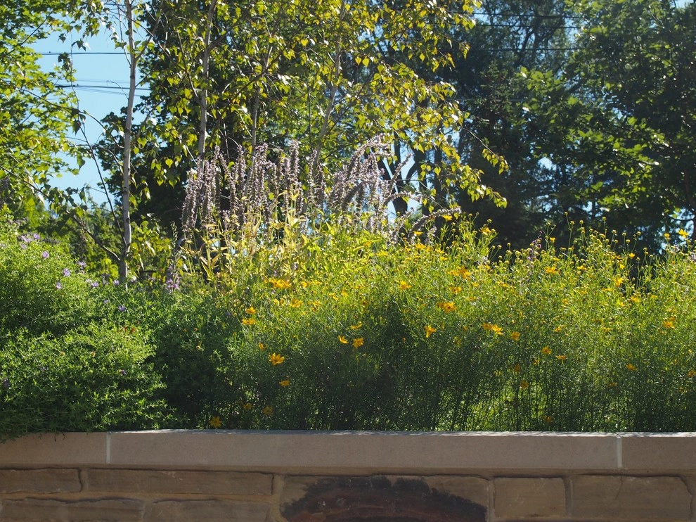 Contemporary Mountain Retreat by Kinghorn Gardens - Photo 16