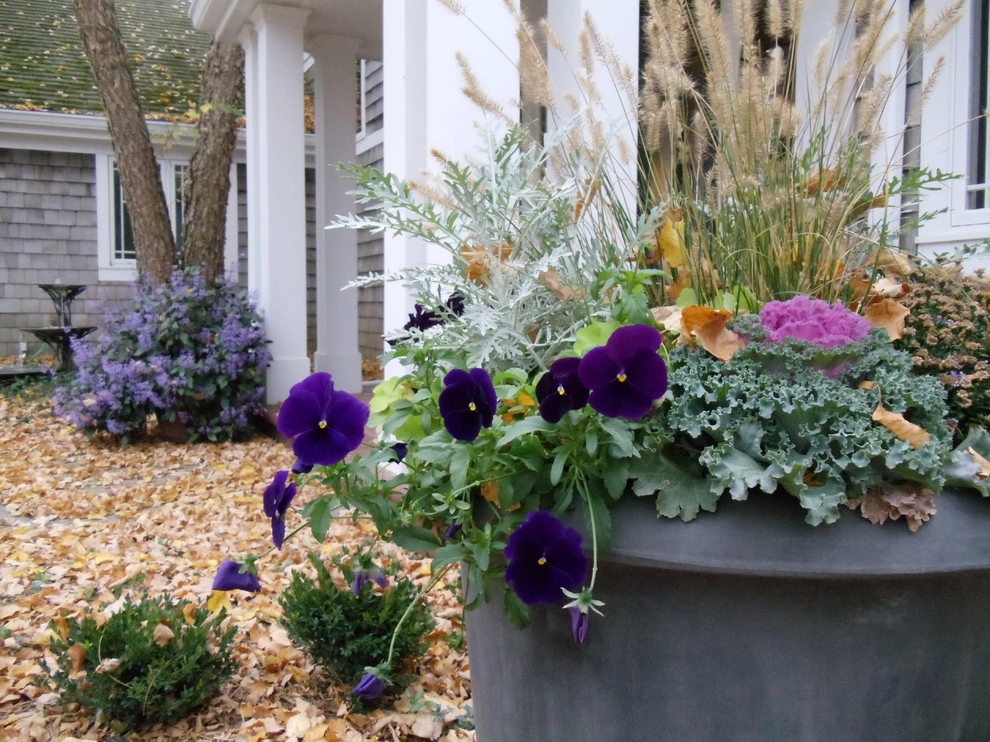 Container Ideas by Kinghorn Gardens - Photo 9