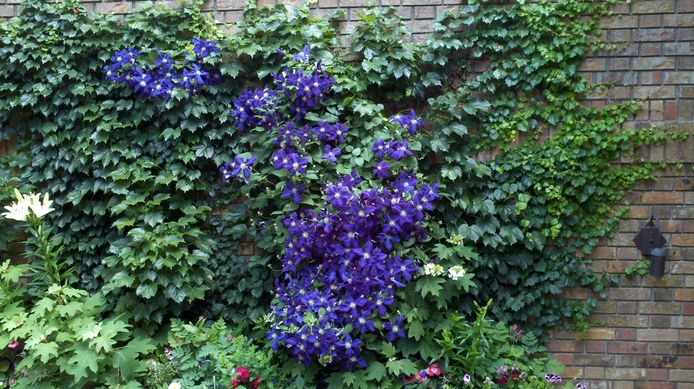 Summer Landscapes by Kinghorn Gardens - Photo 17