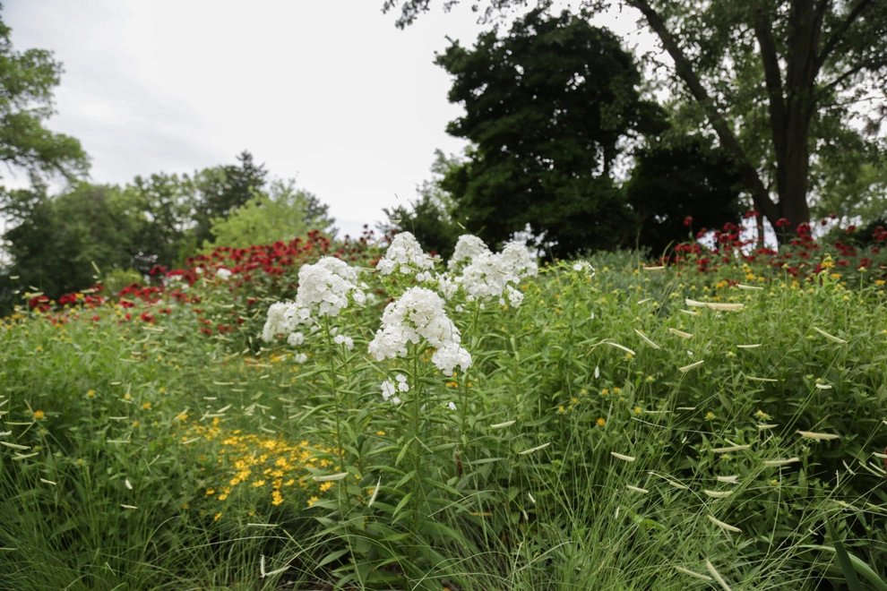 Perennial Garden Getaway by Kinghorn Gardens - Photo 19