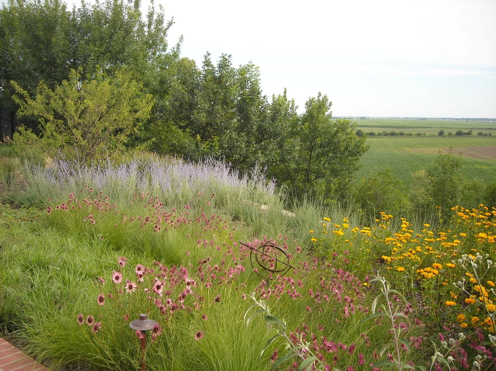 Nebraska Natives Planned Prairie by Kinghorn Gardens - Photo 3