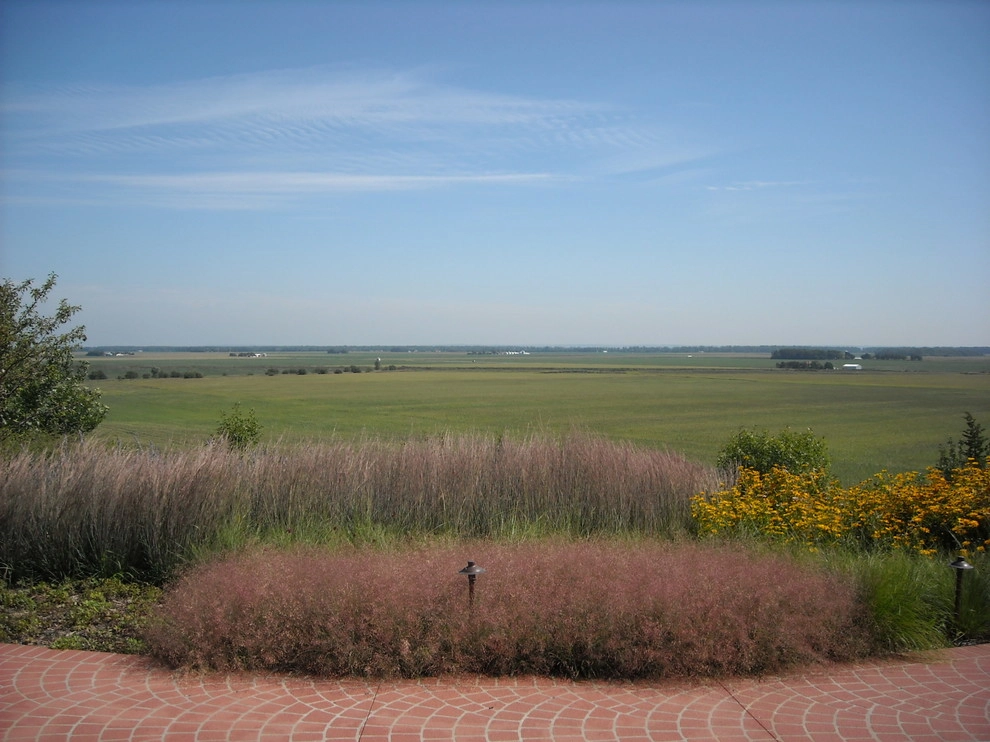 Nebraska Natives Planned Prairie by Kinghorn Gardens - Photo 4