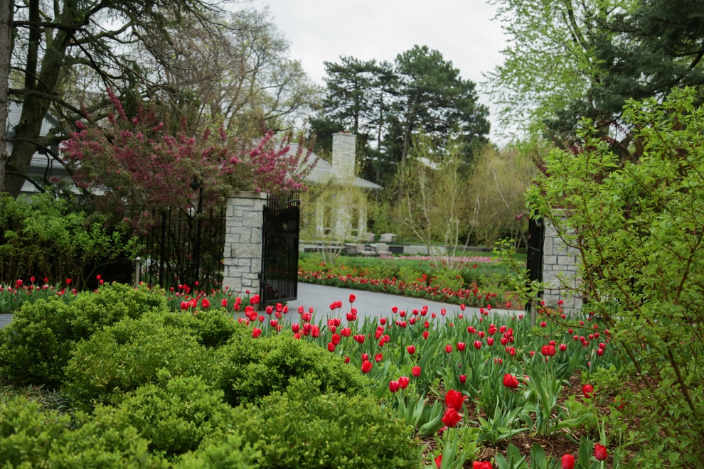 Brushstrokes of Spring Bulbs by Kinghorn Gardens - Photo 5