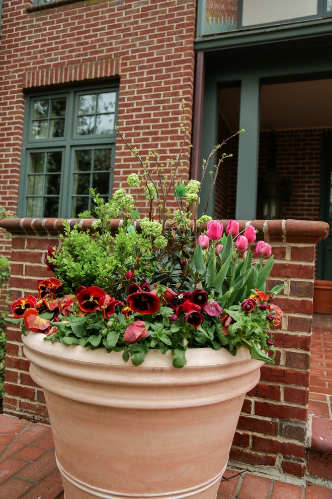 Brushstrokes of Spring Bulbs by Kinghorn Gardens - Photo 9