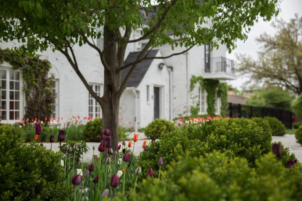 Brushstrokes of Spring Bulbs by Kinghorn Gardens - Photo 14