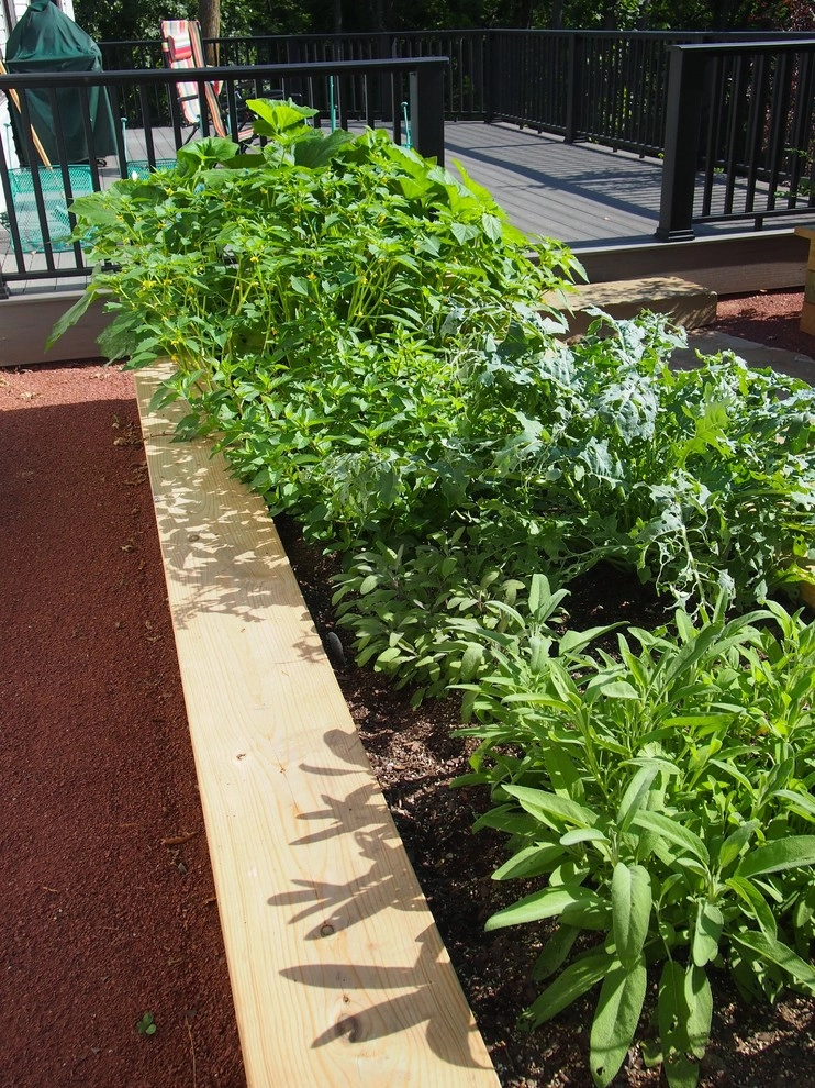 Functional Garden Retreat by Kinghorn Gardens - Photo 3