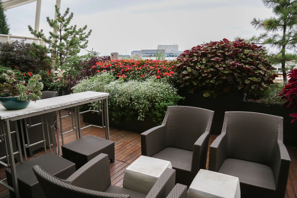 Small Space Rooftop Garden by Kinghorn Gardens - Photo 2
