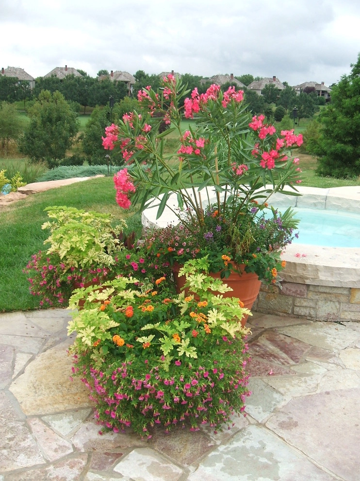 Outdoor Living by Kinghorn Gardens - Photo 19