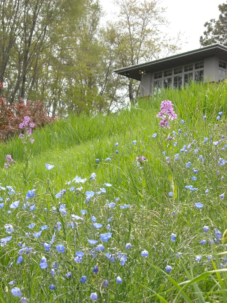 Outdoor Living by Kinghorn Gardens - Photo 6