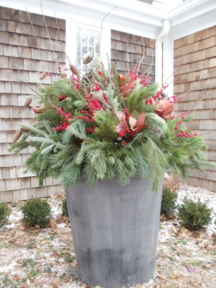 Container Ideas by Kinghorn Gardens - Photo 13