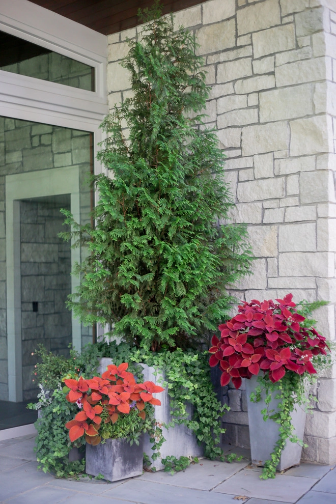 Container Ideas by Kinghorn Gardens - Photo 11