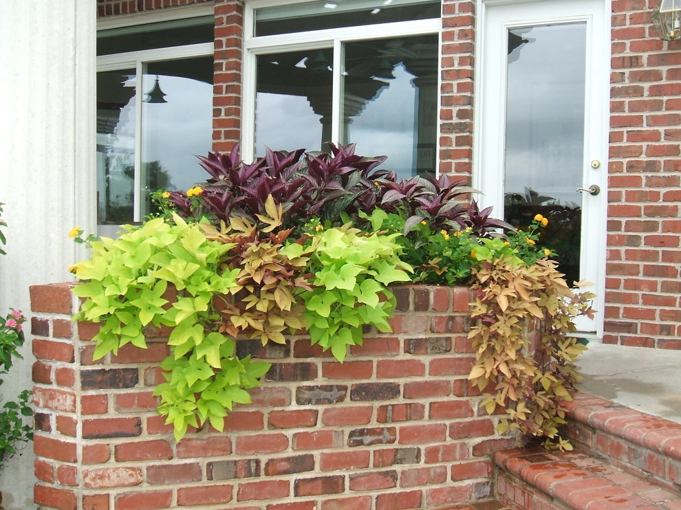 Container Ideas by Kinghorn Gardens - Photo 12