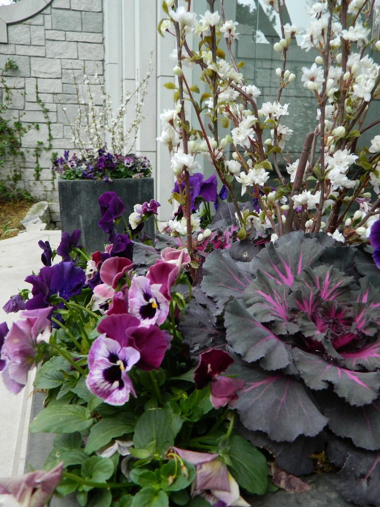 Container Ideas by Kinghorn Gardens - Photo 14