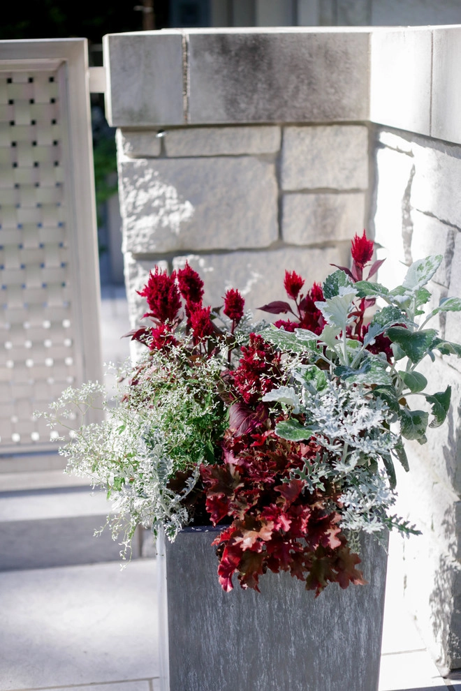 Container Ideas by Kinghorn Gardens - Photo 8