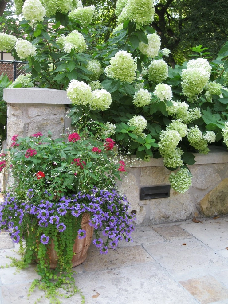Container Ideas by Kinghorn Gardens - Photo 3
